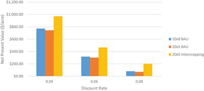 Assessing the financial viability of growing industrial hemp with loblolly pine plantations in the southeastern United States